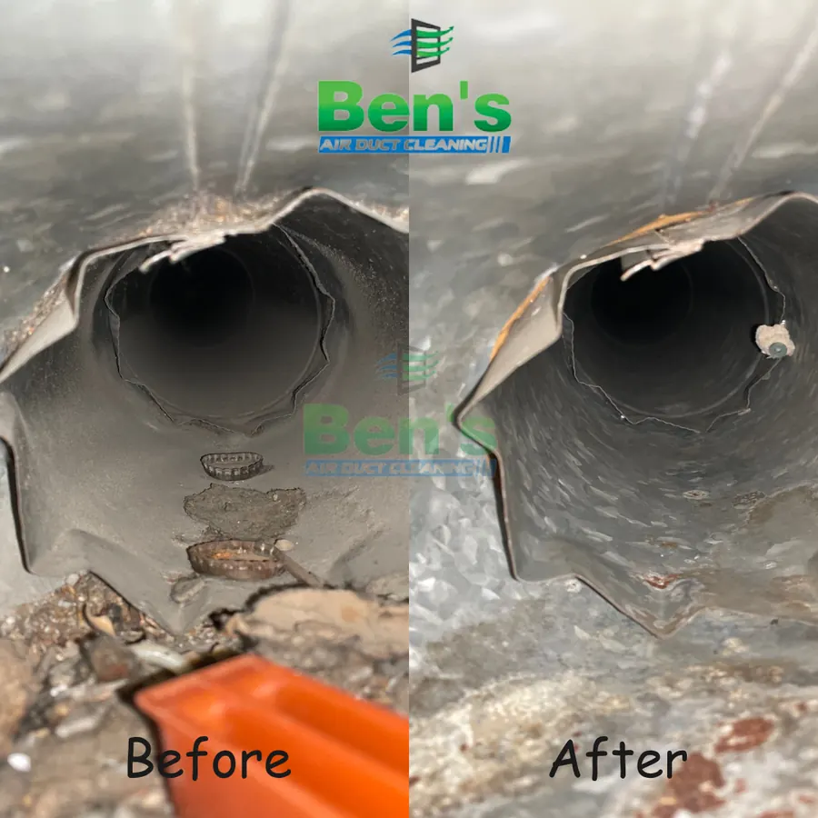 Before and after inside a main trunk line — construction debris and dust pulled out under negative pressure (Ben's job photo)